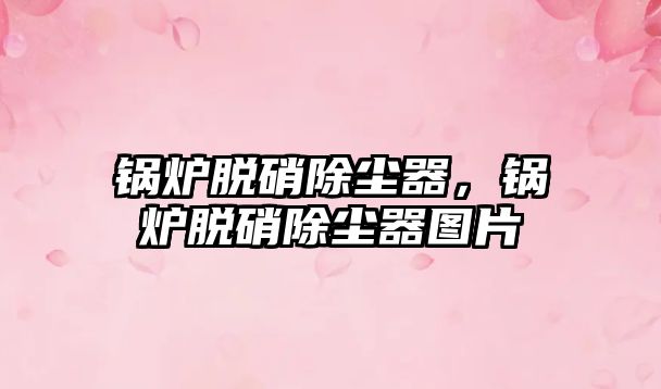 鍋爐脫硝除塵器，鍋爐脫硝除塵器圖片