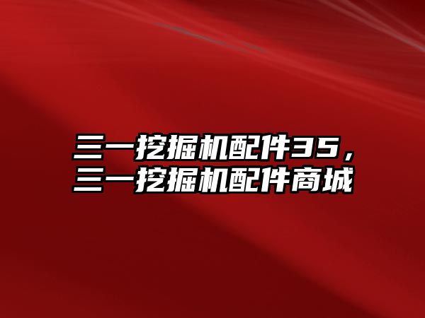 三一挖掘機(jī)配件35，三一挖掘機(jī)配件商城
