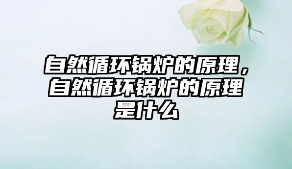 自然循環(huán)鍋爐的原理，自然循環(huán)鍋爐的原理是什么