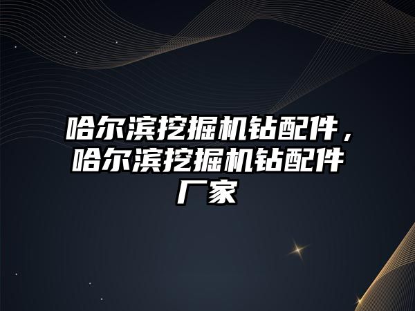 哈爾濱挖掘機鉆配件，哈爾濱挖掘機鉆配件廠家