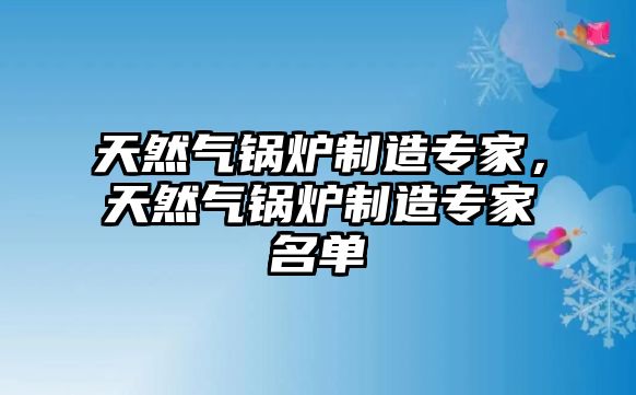 天然氣鍋爐制造專家，天然氣鍋爐制造專家名單