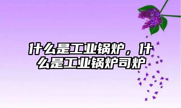 什么是工業(yè)鍋爐，什么是工業(yè)鍋爐司爐