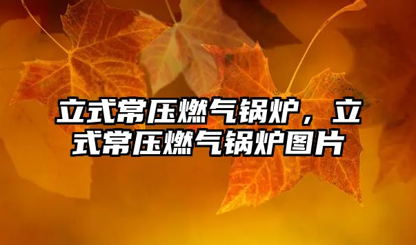 立式常壓燃?xì)忮仩t，立式常壓燃?xì)忮仩t圖片