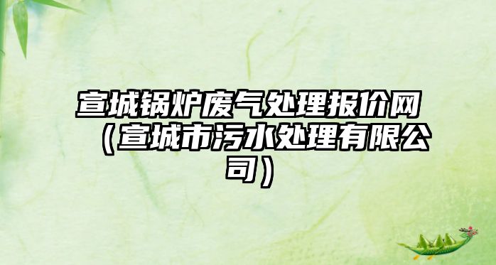宣城鍋爐廢氣處理報(bào)價(jià)網(wǎng)（宣城市污水處理有限公司）