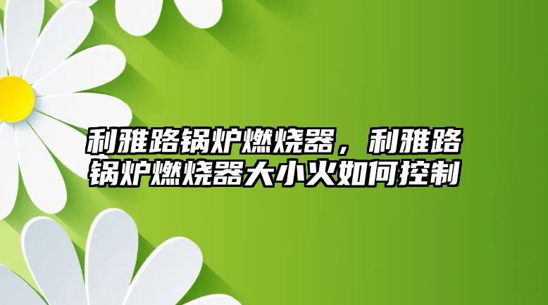 利雅路鍋爐燃燒器，利雅路鍋爐燃燒器大小火如何控制