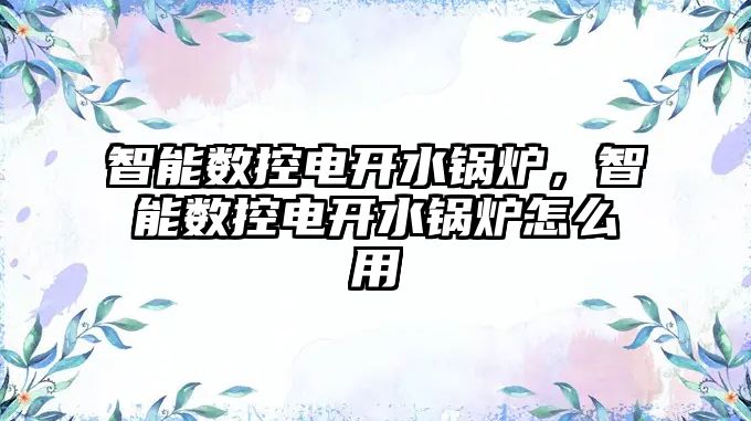 智能數(shù)控電開水鍋爐，智能數(shù)控電開水鍋爐怎么用