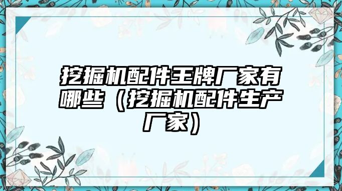 挖掘機配件王牌廠家有哪些（挖掘機配件生產(chǎn)廠家）
