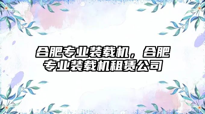 合肥專業(yè)裝載機，合肥專業(yè)裝載機租賃公司