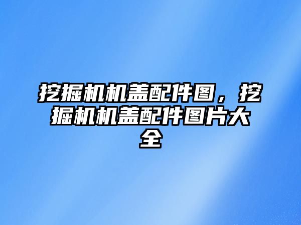挖掘機(jī)機(jī)蓋配件圖，挖掘機(jī)機(jī)蓋配件圖片大全