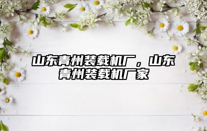 山東青州裝載機(jī)廠，山東青州裝載機(jī)廠家