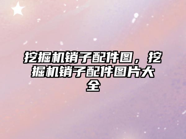挖掘機(jī)銷(xiāo)子配件圖，挖掘機(jī)銷(xiāo)子配件圖片大全