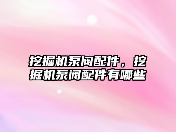 挖掘機泵閥配件，挖掘機泵閥配件有哪些