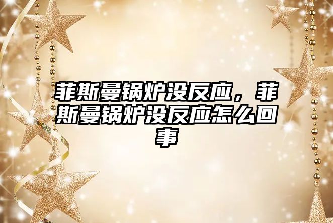 菲斯曼鍋爐沒(méi)反應(yīng)，菲斯曼鍋爐沒(méi)反應(yīng)怎么回事