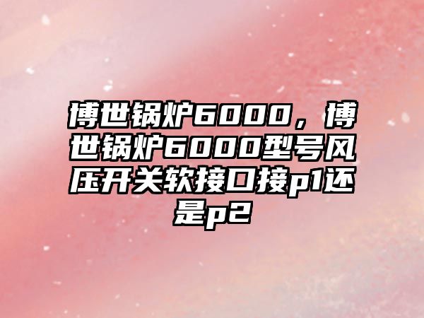 博世鍋爐6000，博世鍋爐6000型號風(fēng)壓開關(guān)軟接口接p1還是p2