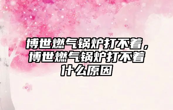 博世燃氣鍋爐打不著，博世燃氣鍋爐打不著什么原因