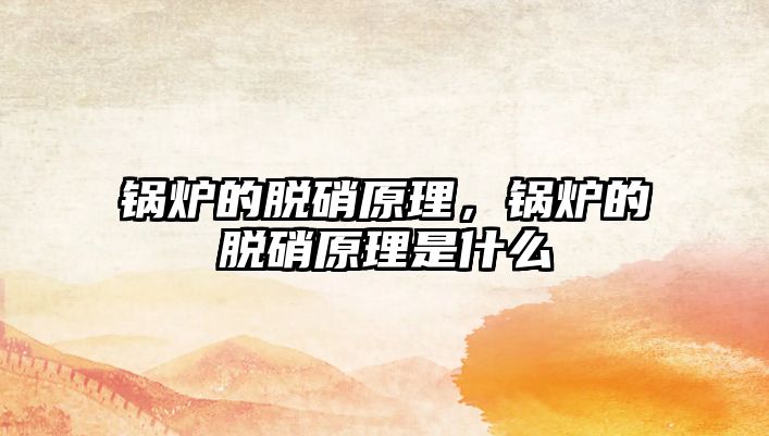 鍋爐的脫硝原理，鍋爐的脫硝原理是什么