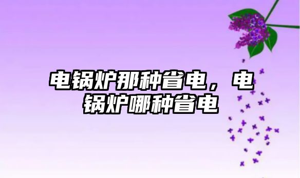 電鍋爐那種省電，電鍋爐哪種省電