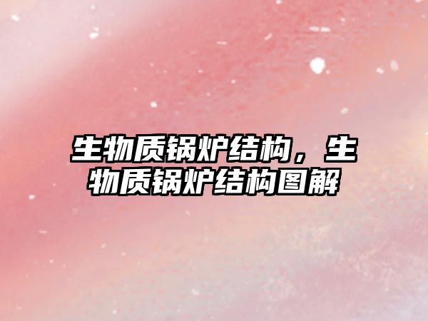 生物質(zhì)鍋爐結(jié)構(gòu)，生物質(zhì)鍋爐結(jié)構(gòu)圖解