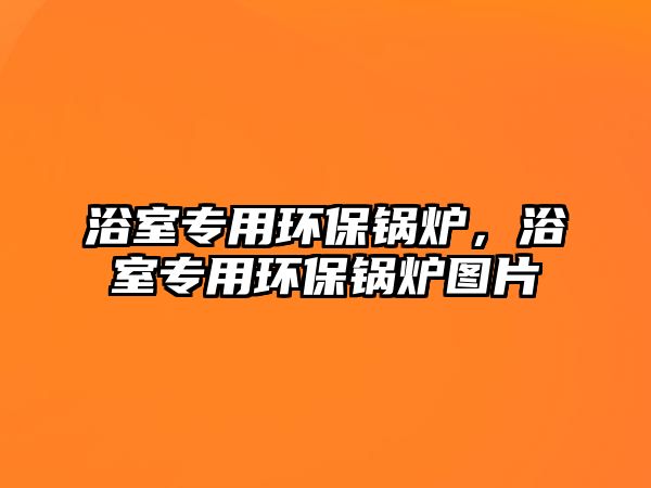 浴室專用環(huán)保鍋爐，浴室專用環(huán)保鍋爐圖片
