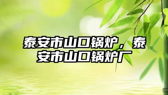 泰安市山口鍋爐，泰安市山口鍋爐廠