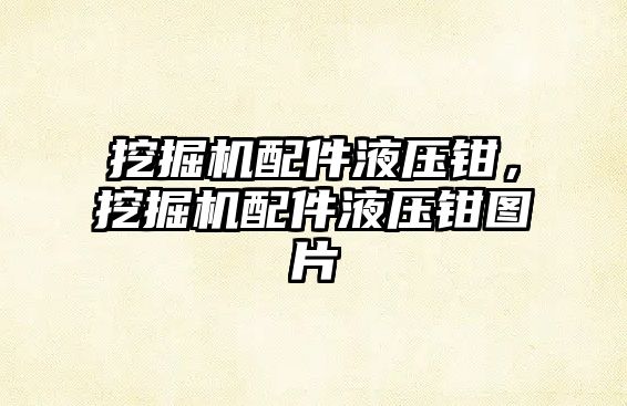 挖掘機配件液壓鉗，挖掘機配件液壓鉗圖片