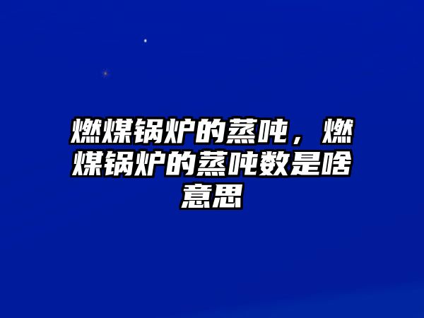 燃煤鍋爐的蒸噸，燃煤鍋爐的蒸噸數(shù)是啥意思