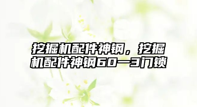 挖掘機(jī)配件神鋼，挖掘機(jī)配件神鋼60一3門鎖