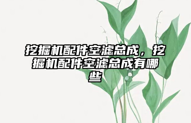 挖掘機(jī)配件空濾總成，挖掘機(jī)配件空濾總成有哪些