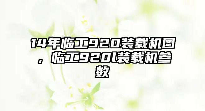 14年臨工920裝載機(jī)圖，臨工920l裝載機(jī)參數(shù)