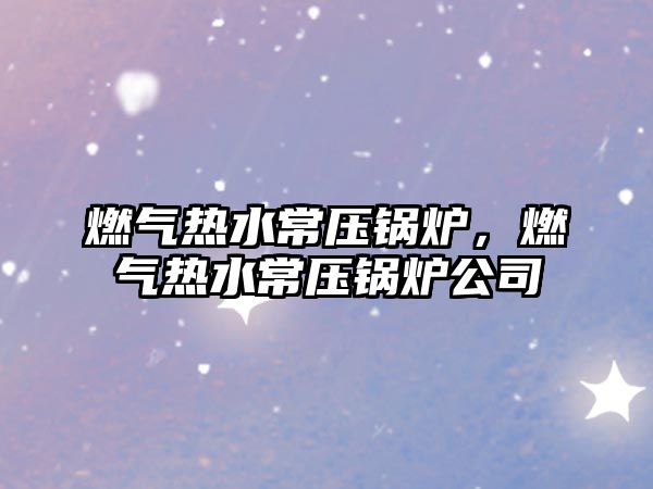 燃氣熱水常壓鍋爐，燃氣熱水常壓鍋爐公司