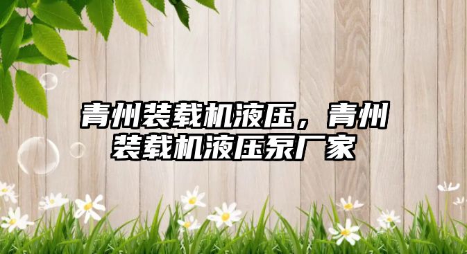 青州裝載機(jī)液壓，青州裝載機(jī)液壓泵廠家