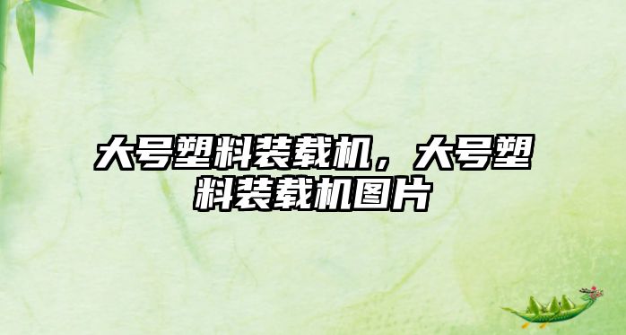 大號塑料裝載機，大號塑料裝載機圖片