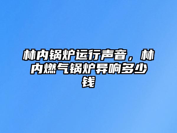 林內(nèi)鍋爐運行聲音，林內(nèi)燃?xì)忮仩t異響多少錢