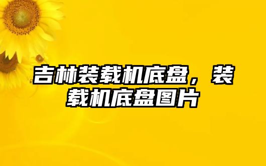 吉林裝載機(jī)底盤，裝載機(jī)底盤圖片