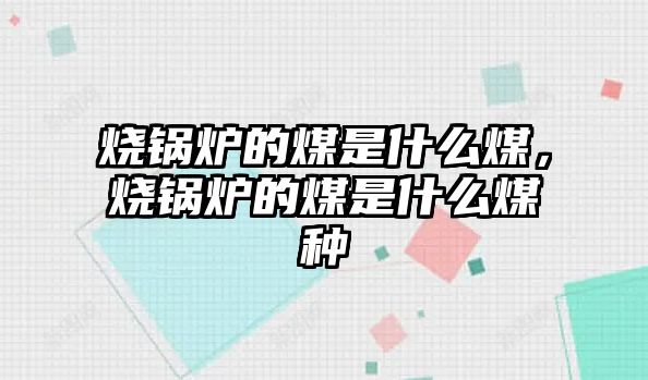燒鍋爐的煤是什么煤，燒鍋爐的煤是什么煤種