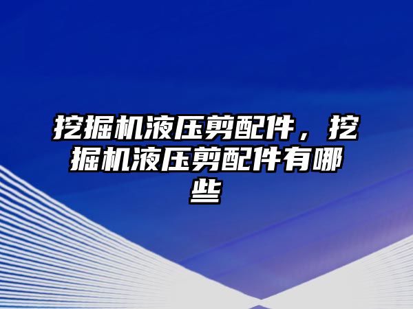 挖掘機(jī)液壓剪配件，挖掘機(jī)液壓剪配件有哪些