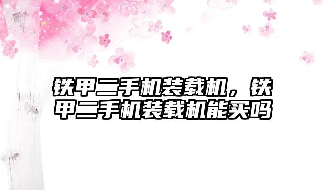 鐵甲二手機(jī)裝載機(jī)，鐵甲二手機(jī)裝載機(jī)能買嗎