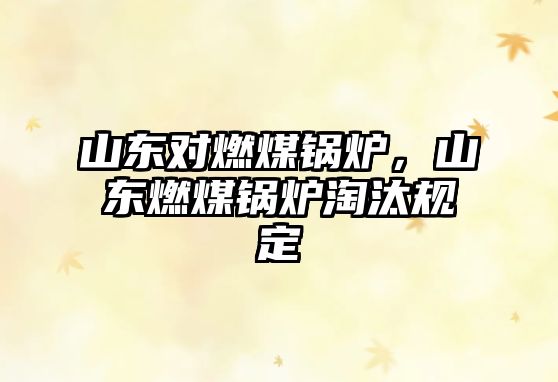 山東對(duì)燃煤鍋爐，山東燃煤鍋爐淘汰規(guī)定