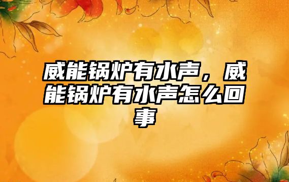 威能鍋爐有水聲，威能鍋爐有水聲怎么回事