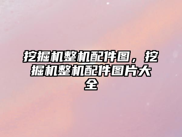挖掘機(jī)整機(jī)配件圖，挖掘機(jī)整機(jī)配件圖片大全