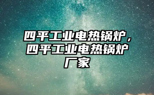 四平工業(yè)電熱鍋爐，四平工業(yè)電熱鍋爐廠家