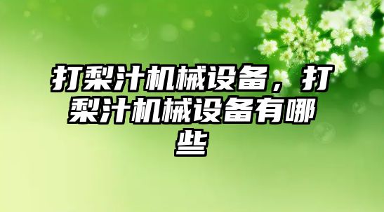 打梨汁機械設(shè)備，打梨汁機械設(shè)備有哪些