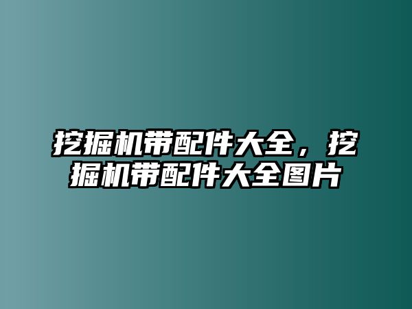 挖掘機(jī)帶配件大全，挖掘機(jī)帶配件大全圖片