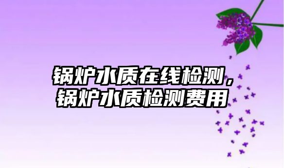 鍋爐水質(zhì)在線檢測，鍋爐水質(zhì)檢測費用