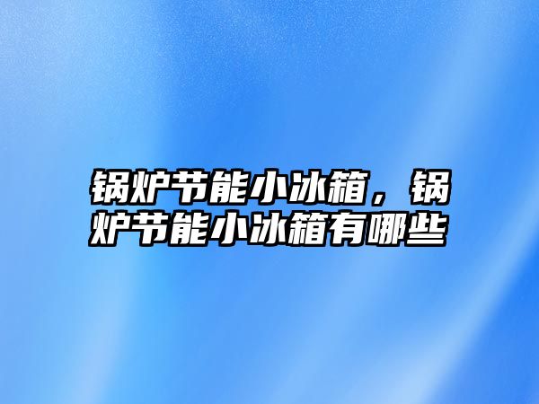 鍋爐節(jié)能小冰箱，鍋爐節(jié)能小冰箱有哪些