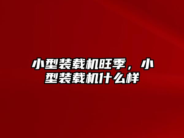小型裝載機(jī)旺季，小型裝載機(jī)什么樣