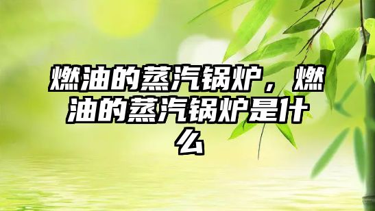 燃油的蒸汽鍋爐，燃油的蒸汽鍋爐是什么