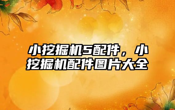 小挖掘機(jī)5配件，小挖掘機(jī)配件圖片大全