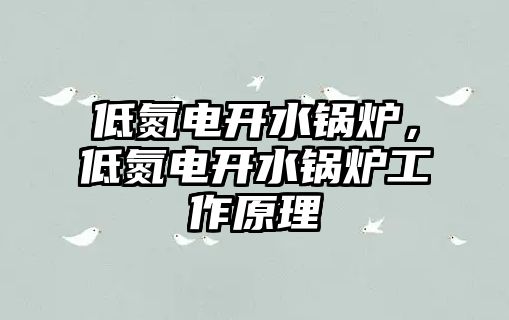 低氮電開水鍋爐，低氮電開水鍋爐工作原理