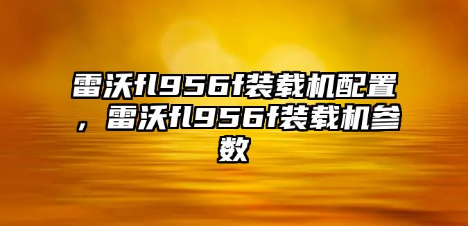雷沃fl956f裝載機配置，雷沃fl956f裝載機參數(shù)
